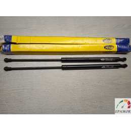 430719021300 - 2 VERINS...