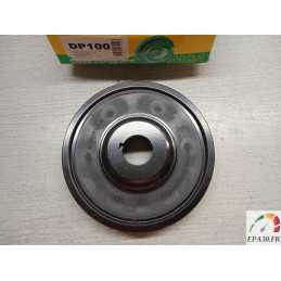 DP100 POULIE DAMPER 206 306...