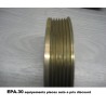 POULIE DAMPER RENAULT CLIO 2 KANGOO LAGUNA MEGANE SCENIC - EPA30