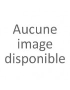ID19